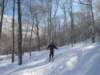 morebjinthewoods_small.jpg