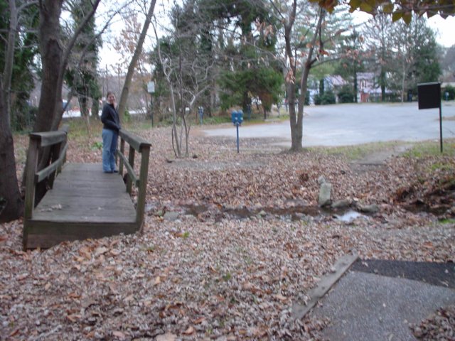 bridgeoffthetrail.jpg
